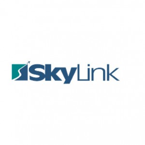 21-SkyLink-logo